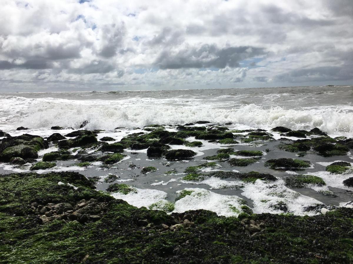 Fijne Studio Aan Zee Callantsoog Bagian luar foto